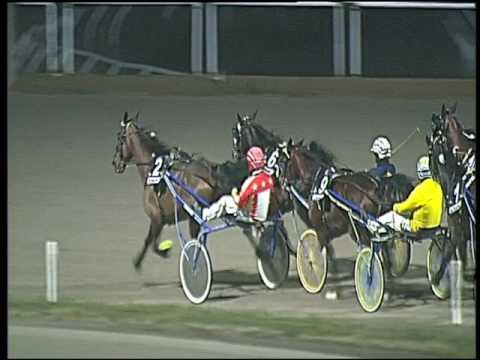 Trotto 13/01/2017 - 6ª corsa