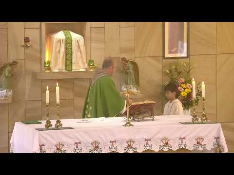 31st Sunday in Ordinary Time, 8am Mass, Year C: 30th of October 2022 - St Bernadette's Parish