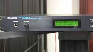 Video thumbnail for Roland P-330 Digital Piano Module Demo by zibbybone