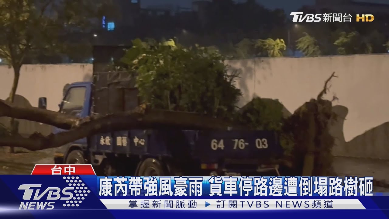 康芮帶強風豪雨　貨車停路邊遭倒塌路樹砸