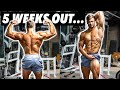5 WEEKS OUT!! | CHEST & SHOULDERS | MEAL PREPPING FOR THE WEEK