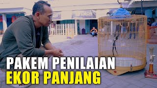 Download lagu BEDA PAKEM‼️penilaian murai batu ekor panjang mp3 Download lagu BEDA PAKEM‼️penilaian murai batu ekor panjang mp3