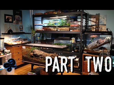 Reptile Room Tour May 2016 (Part 2) | Over a DOZEN New Animals!