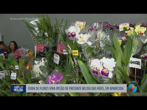 Feira de flores atrai clientes para o Dia das Mães