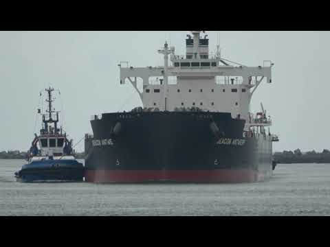 ShipSpotting in Rotterdam, The Netherlands - Part 122 4K