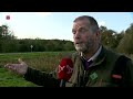 Staatsbosbeheer wil grotere faunatunnels in Flevoland om aanrijdingen te voorkomen