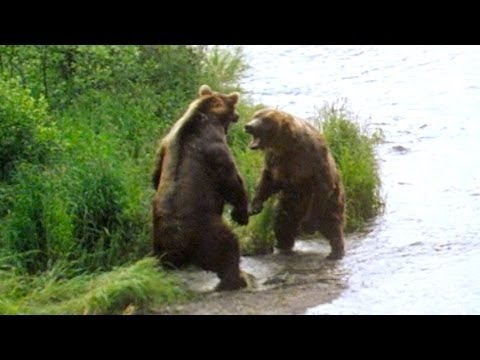 10 Most Insane College and High School Party Stories EVER