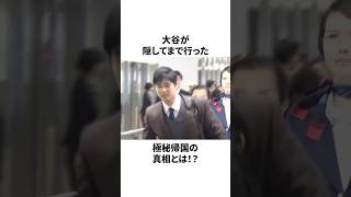 大谷翔平、極秘帰国の真相！についての雑学　#大谷翔平 #mlb #プロ野球