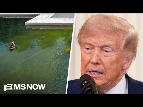 Hot Take: Lincoln Memorial reflecting pool scandal is the perfect metaphor for Trump admin
