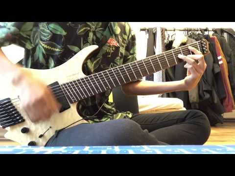 Veil of Maya『Winter Is Coming Soon』Guitar Cover