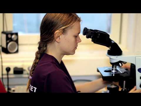 Specialfoder - GÖTEBORG - Blå Stjärnans Djursjukhus AB