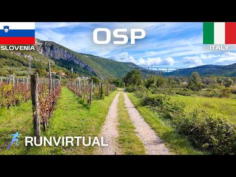 Trail Running in Slovenia-Italy: Osp Mediterranean Valley
