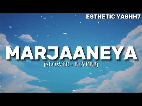 Marjaaneya (Slowed + Reverb) | Varun Jain | Vicky Vidya Ka Woh Wala Video