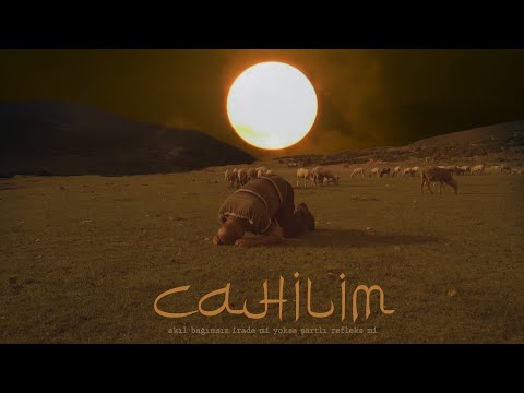 Murat Akay - Cahilim