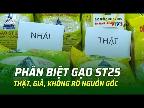 phan biet gao st25 that gia khong ro nguon goc | vtv24
