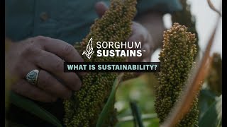 Sorghum Sustains - What is sustainability?