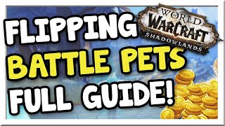 Make 500k - 1 Million Flipping Pets Across Realms! | Shadowlands | WoW Gold Making Guide