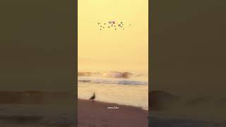 Download lagu Maane Maane 🐼🦋 (req completed) #lovelyammu #love #lovemusic #song #trending #tamilsong #albumsong mp3 Download lagu Maane Maane 🐼🦋 (req completed) #lovelyammu #love #lovemusic #song #trending #tamilsong #albumsong mp3