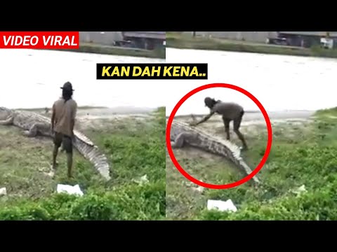 Tunjuk Berani Pegang Buaya Besar, TENGOK Apa Jadi Lepastu