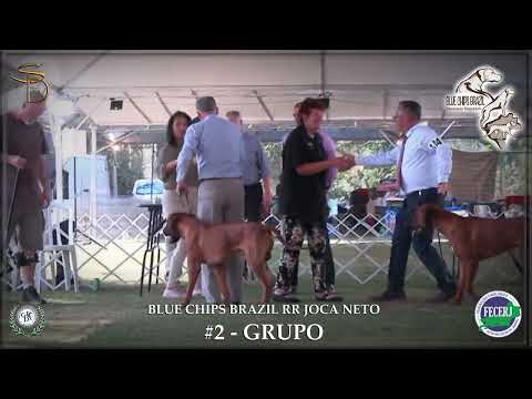 BLUE CHIPS BRAZIL RR JOCA NETO   #2 GRUPO   FECERJ   Setembro 2022