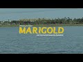 sakka. - Marigold (Official Lyric Video)