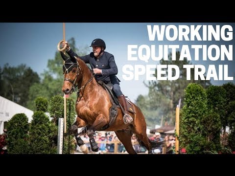 Working Equitation - DER Speed Trail 🔝 | Thomas Türmer & Orlando | Pferd International München