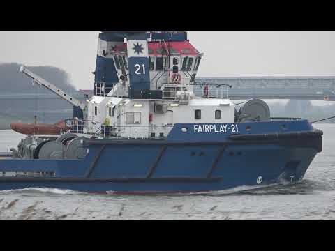 FAIRPLAY NUBLO - TOROS M - FAIRPLAY 21