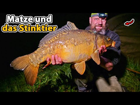 Matze Koch: Karpfenangeln für Allrounder - mit Überraschungsfang