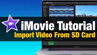 iMovie Tutorial - How To Import Video From SD Memory Card