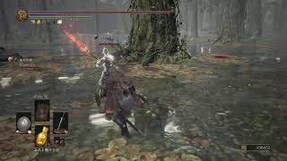 ダークソウル3攻略【白、闇、歓迎】
