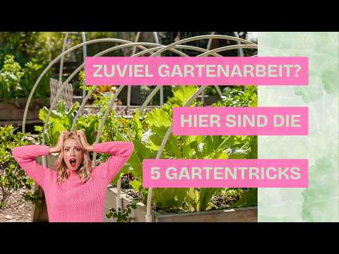 👉 Der perfekte Garten mit 1 Stunde pro Woche – so geht’s!