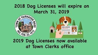 2019 Fairhaven Dog Licenses