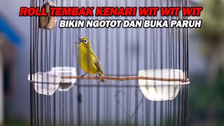 Download lagu PANCINGAN PLECI ROLL TEMBAK KENARI WIT WIT WIT , BIKIN NGOTOT DAN CEPAT BUKA PARUH mp3