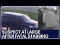 Suspect At Large After Fatal Stabbing In Roseville And Assault In St Clair Shores