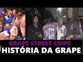 GRAPE STREET CRIPS GANGWAY 1