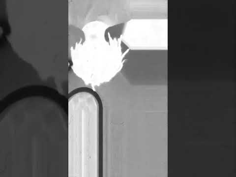 Fugitive x Wacce (PREVIA)