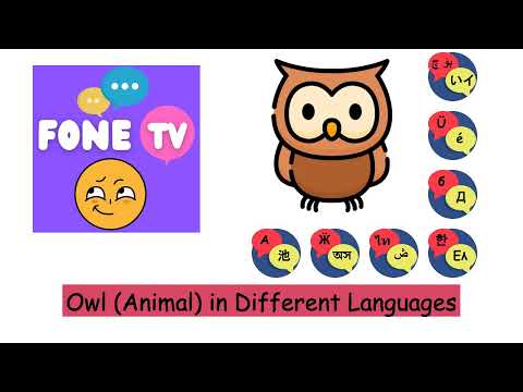 Owl (Animal) in Different Languages