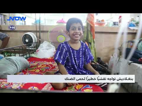 بنغلاديش تواجه تفشيًا خطيرًا لحمى الضنك
