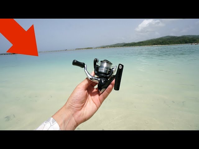 Fishing for "Tank-Worthy" EXOTIC Saltwater Fish (Cayman Islands)