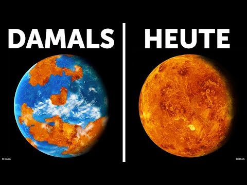 Es gab einmal Leben auf der Venus