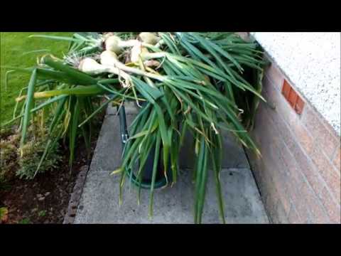 Reč struke ep. 148 25.01.2018. NAJAVA