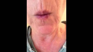 How To Whistle Dixie