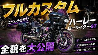 【フルカスタム】ボルト一本にまでこだわり抜いた、フルカスタム ローライダーSTの全貌を大公開