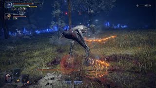 『霧の裂け目』エルデンリングナイトレイン【追跡者】 #54