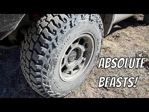 Impressed! - Mickey Thompson Baja Boss AT Pizza Cutter 35\u201d Review
