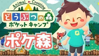 【毎日投稿どうぶつの森】めーっちゃ楽しむポケ森実況part1【ポケットキャンプ】