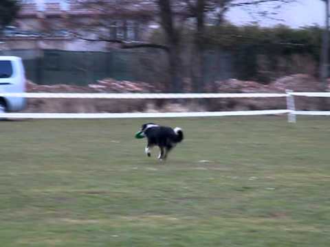 SMD  2.kolo Pavel Kos + MAC Gulden Land ( FINN)