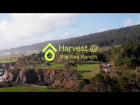Harvest fits right in at Sea Ranch