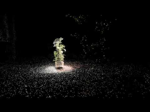 Point Cloud Animation - Unity URP + VFX Graph + LumaAI