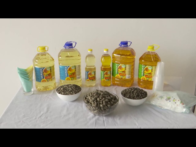 Рабочая поездка Президента Татарстана в Алькеевский район